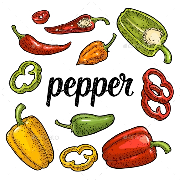 Whole, Half and Slice of Different Types of Pepper - Food Objects