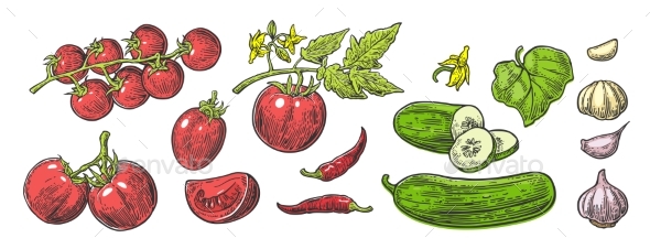 Cucumbers Garlic Chili and Tomato Whole and Half - Food Objects