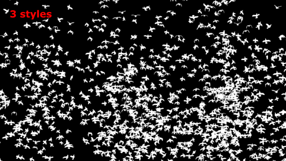 Flock Silhouette Birds