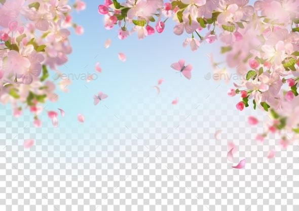 Spring Cherry Blossom - Seasons Nature