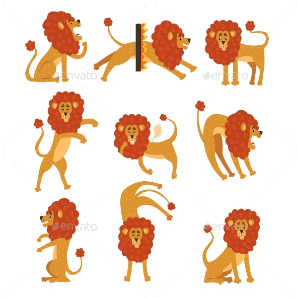 Collection of Lion in Various Poses - Animals Characters