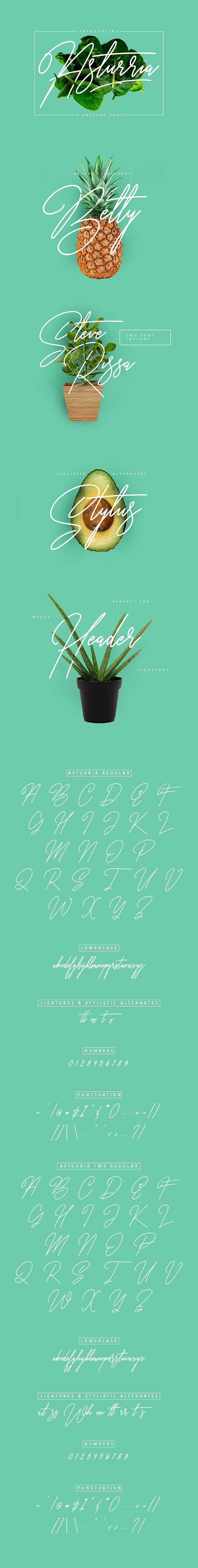 Asturria Signature - Calligraphy Script