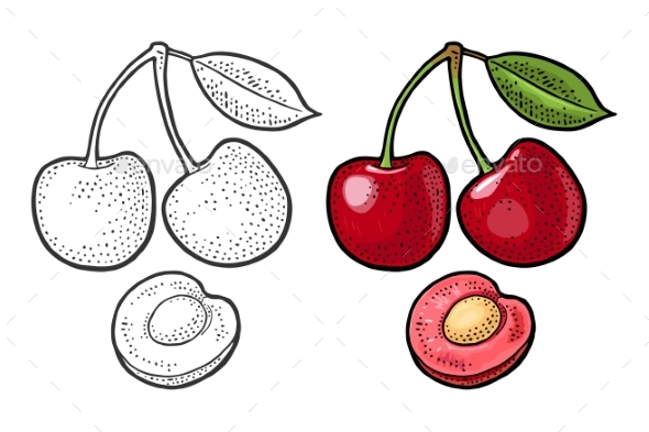 Whole and Half Cherry Berry with Leaf. Vector - Food Objects