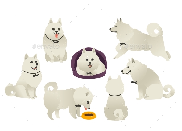 White Fluffy Dog Playing, Sitting, Eating - Animals Characters
