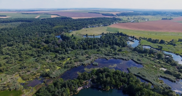 Forest Lake at Dawn Aerial Drone Flights