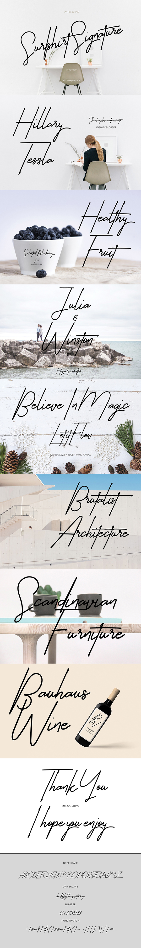 Surfshirt Signature - Script Fonts