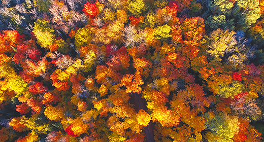 Canadian Countryside