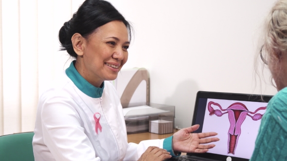 Female Gynecologist Talking To Her Patient Showing Uterus Picture on the Laptop alt
