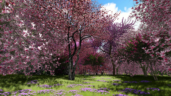 Spring Forest By Mil23 Videohive