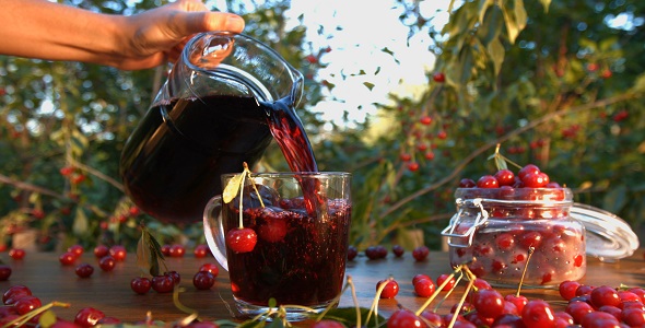 Cherry Juice on Background of Growing Cherries