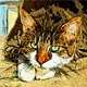 Watercolor Mixed Effect - 55