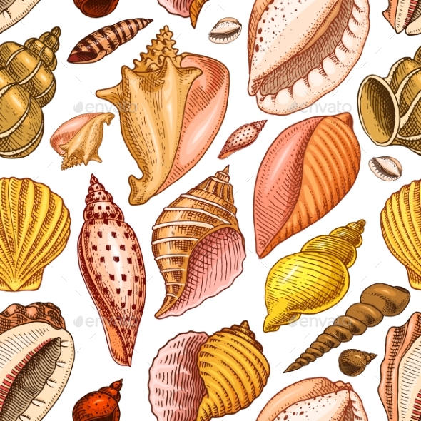 Seamless Pattern of Shells - Backgrounds Decorative
