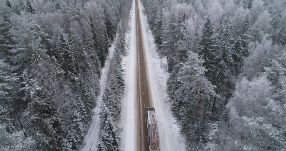 Winter Road in the Forest, Stock Footage | VideoHive