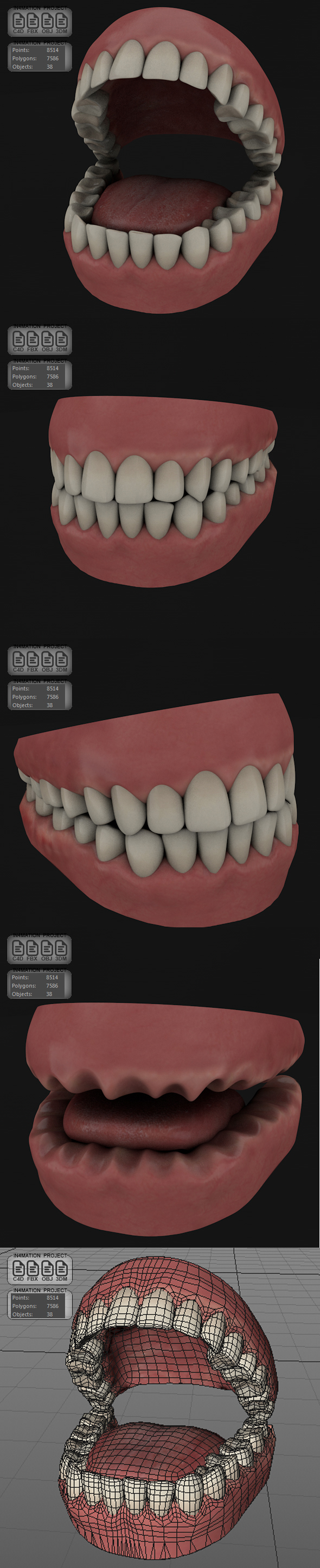 TeethGums - Full - 3Docean 21315731