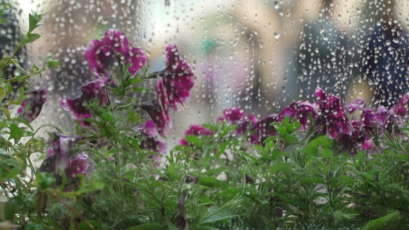 Rain Outside Window of Summer Café with Raindrops on Window Glass Blurring of Natural Light