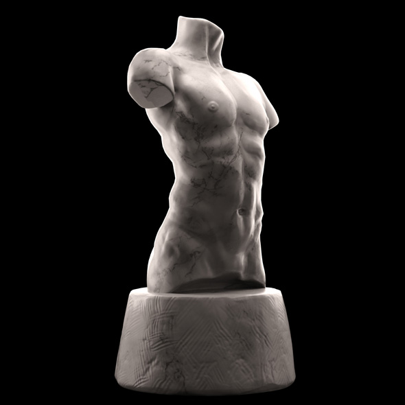 Male Torso - 3Docean 21317305