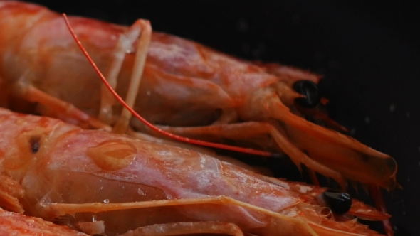 Large Red Shrimps Are Fried in Hot Oil on Pan