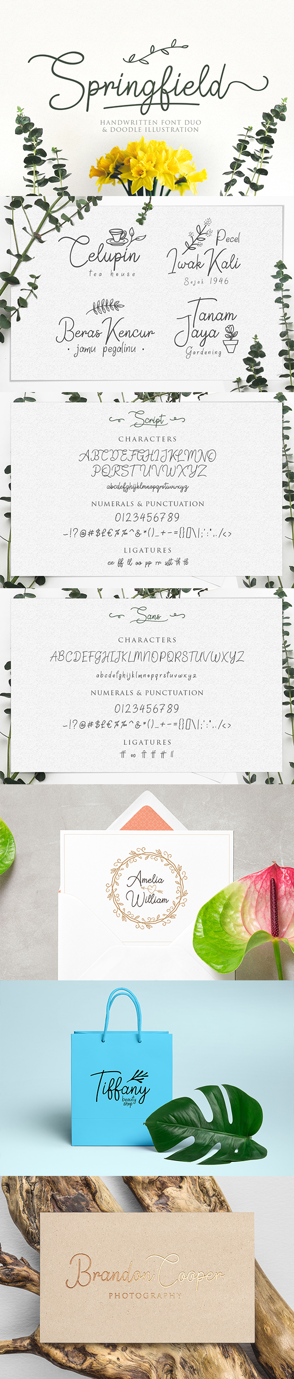 Springfield Fontduo - Hand-writing Script