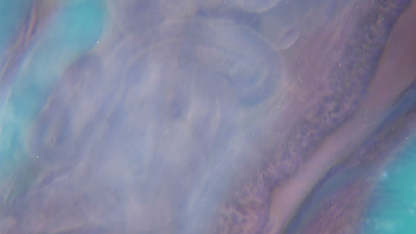 a Transparent Larva Under the Microscope, with Internal Organs, As Is an Alien Organism alt