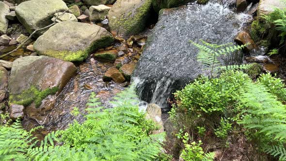 Slow moving woodland stream with water flowing over the rocks alt