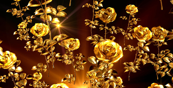 Golden Roses, Motion Graphics | VideoHive