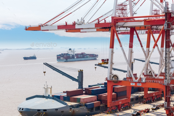 container gantry crane in shanghai port