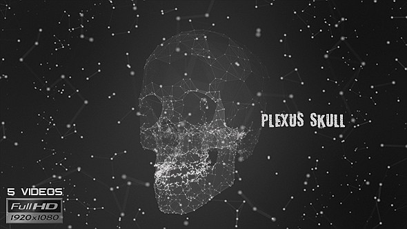 Plexus Skull Silhouette - 5 Pack