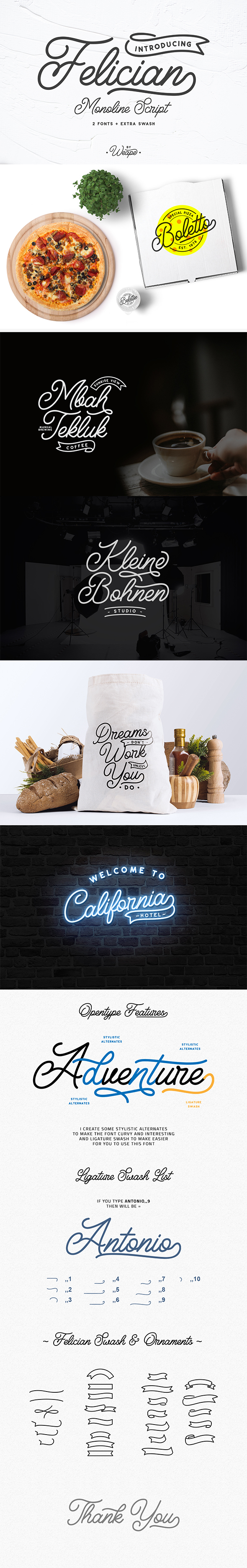 Felician Monoline Script - Script Fonts