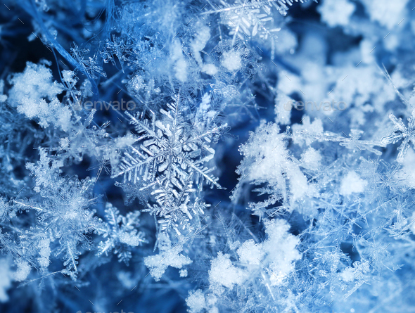 Real ice crystals after snowfall - Stock Photo - Images