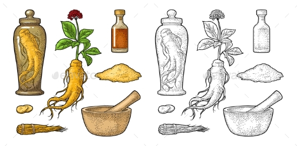 Root and Leaves Panax Ginseng - Flowers & Plants Nature