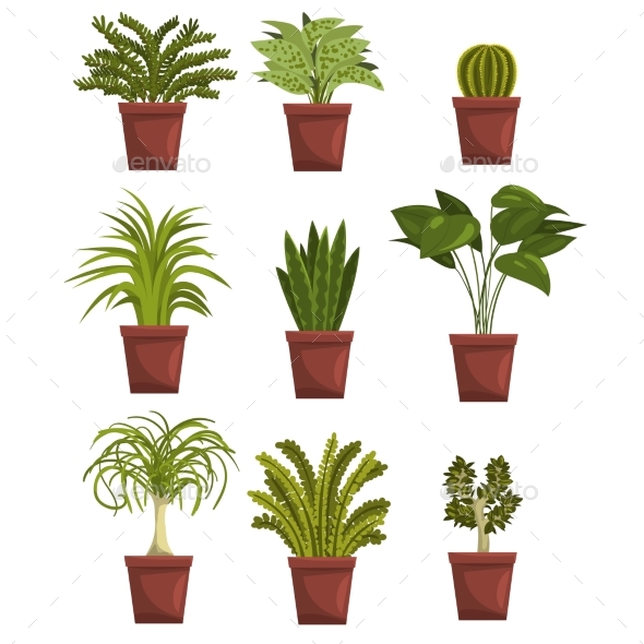 Set of Pot Green Deciduous Plants with Leaves - Flowers & Plants Nature