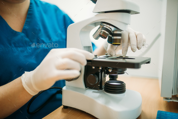 Veterinarian looks through a microscope in clinic - Stock Photo - Images