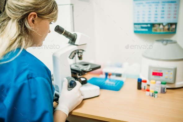 Specialist looks through a microscope in clinic - Stock Photo - Images
