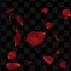 Rose Falling - VideoHive Item for Sale