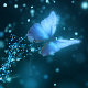 Mystic Butterfly Opener - VideoHive Item for Sale