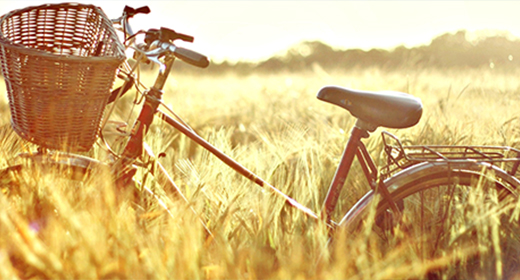 Orchestra Collection