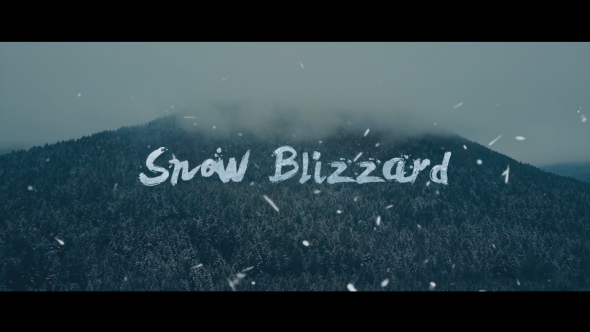 Snow Blizzard