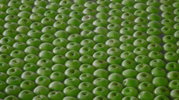 Industrial Farming, Processing and Storage of Apples alt