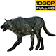 Wolf 5 Realistic Pack 4 - VideoHive Item for Sale