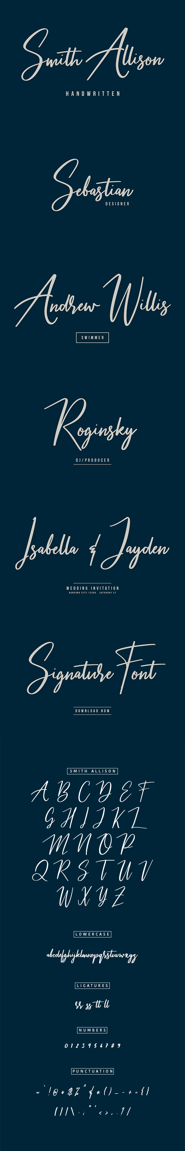 Smith Allison Signature Font - Calligraphy Script