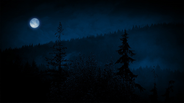 Misty Forest At Night With Moon alt