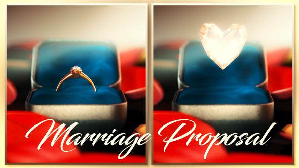 Marriage Proposal Ring - VideoHive 21332062