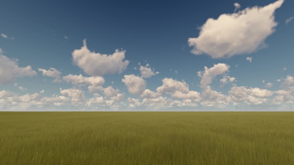 Green Field and Cloudy Sky, Motion Graphics | VideoHive