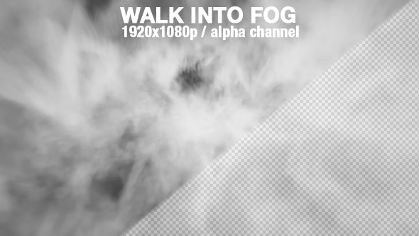 Fog - Walking into Fog