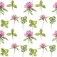 Clover Leaf and Flowers Hand Drawn Seamless