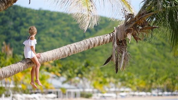 Back View of Adorable Little Girl at Tropical Beach Sitting on Palm Tree During Summer Vacation alt