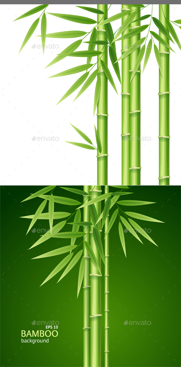Realistic 3d Detailed Bamboo Shoots Background Card. Vector - Conceptual Vectors