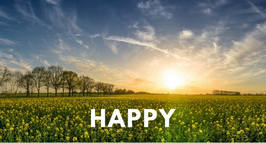 Happy