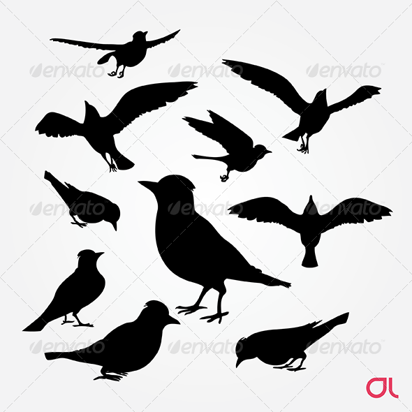 Birds: Blue Jay Silhouette Vector Set