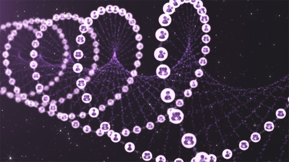 Social Network DNA Gene